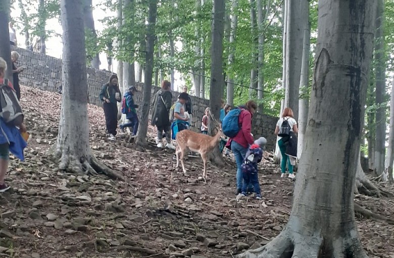 Leśny Park Niespodzianek zdobyty