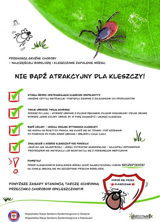 PSSE w Żywcu