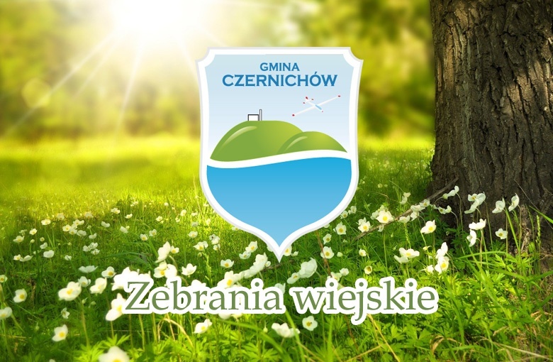 Zebranie wiejskie sołectwa Międzybrodzie Bialskie