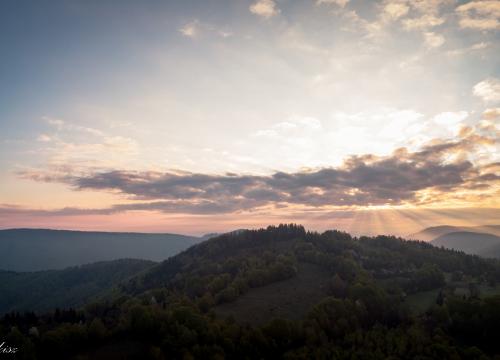 Fotogaleria Piotr Honkisz